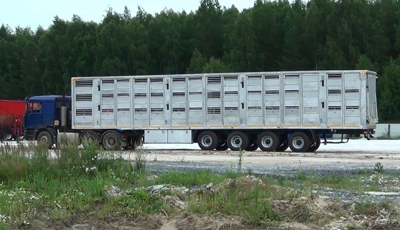 98271_1.jpg т19.jpg